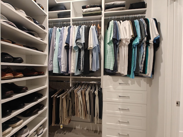 view of spacious closet