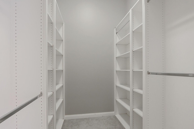 spacious closet with light colored carpet