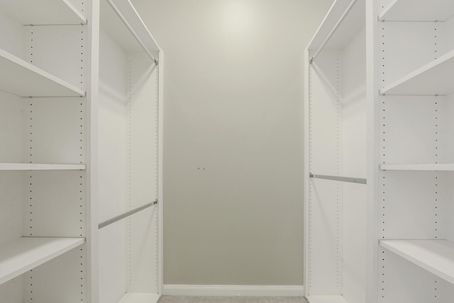 spacious closet with carpet flooring