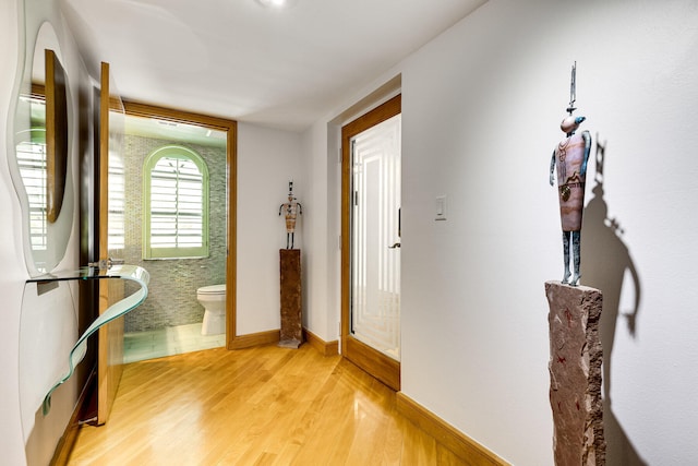 foyer with light wood-type flooring and a wealth of natural light