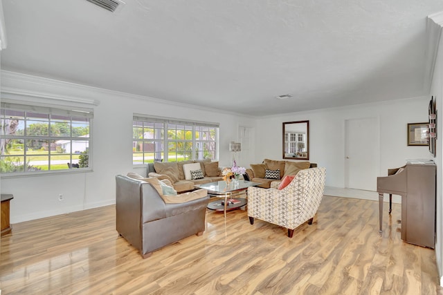 living room featuring ornamental molding and light hardwood / wood-style flooring