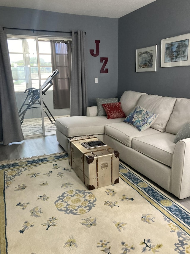 108 NE 20th Ave Unit 205, Boynton Beach, FL 33435 - living room featuring wood finished floors