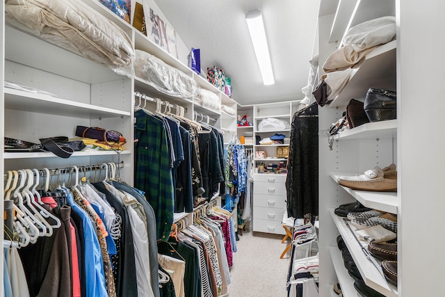 spacious closet featuring carpet