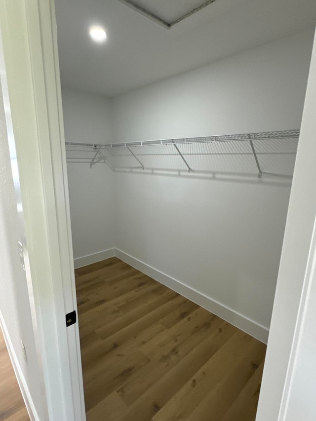 spacious closet featuring wood-type flooring