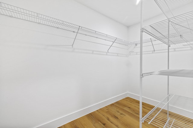 spacious closet featuring wood finished floors