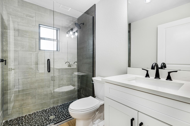 full bathroom featuring a stall shower, vanity, and toilet