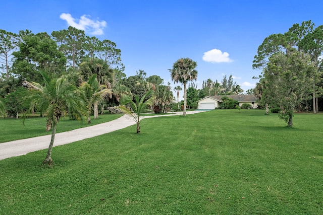 surrounding community featuring a lawn