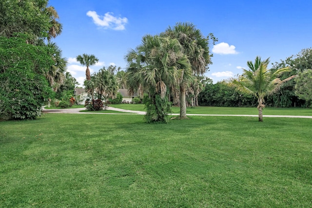 view of home's community with a yard