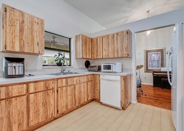 kitchen featuring light hardwood / wood-style flooring, ceiling fan with notable chandelier, white appliances, and sink