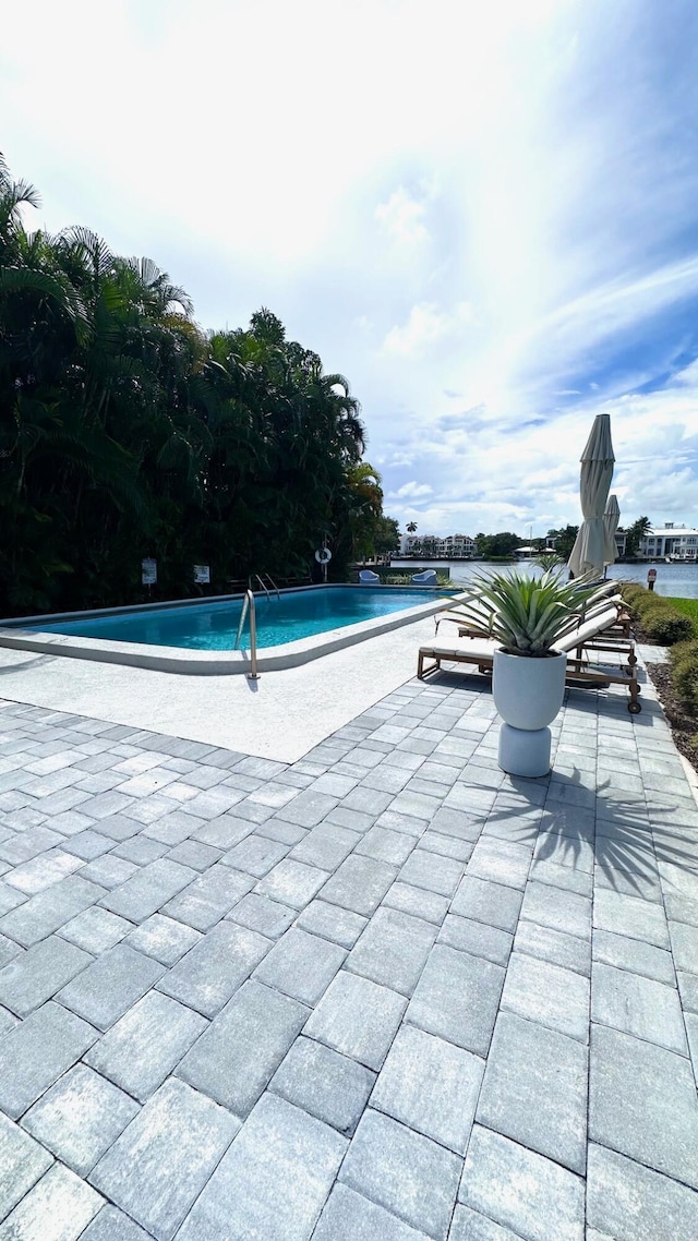 view of swimming pool with a patio