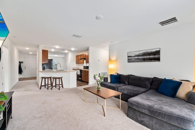 carpeted living room with sink