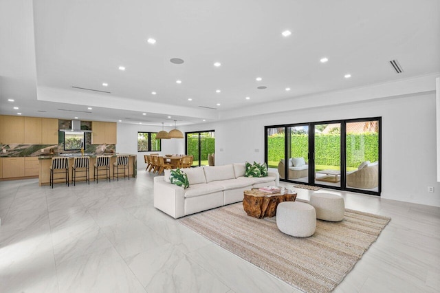 living room featuring a raised ceiling