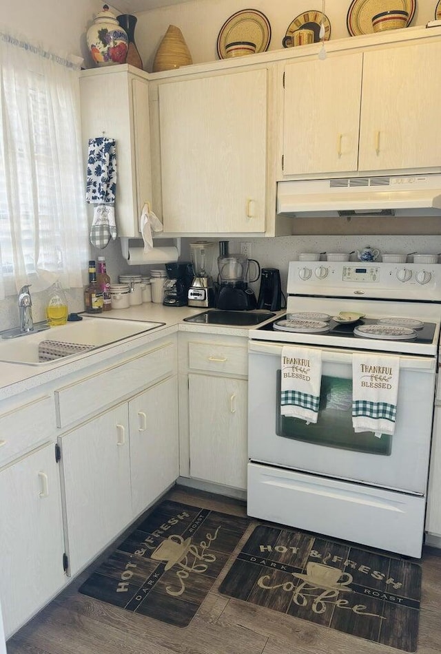 kitchen with electric stove, dark hardwood / wood-style flooring, and sink