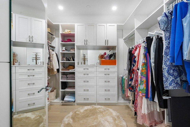 view of walk in closet