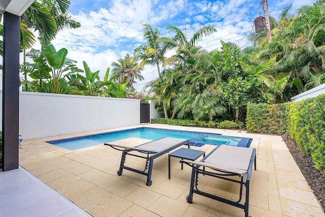 view of pool with a fenced in pool, a patio area, and a fenced backyard