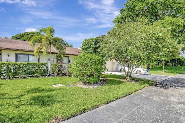 view of front of property featuring a garage, a front lawn, driveway, and stucco siding