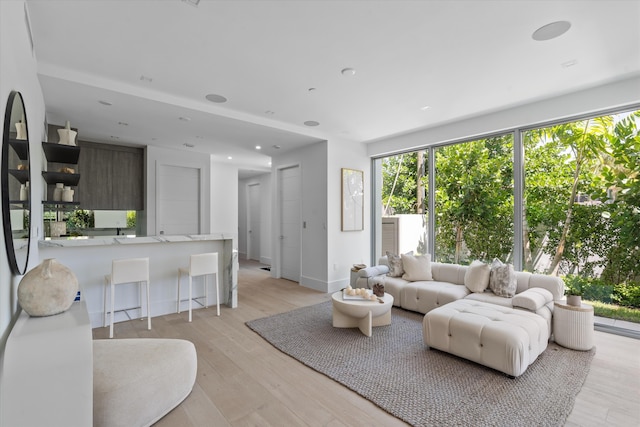 living room featuring light wood-type flooring