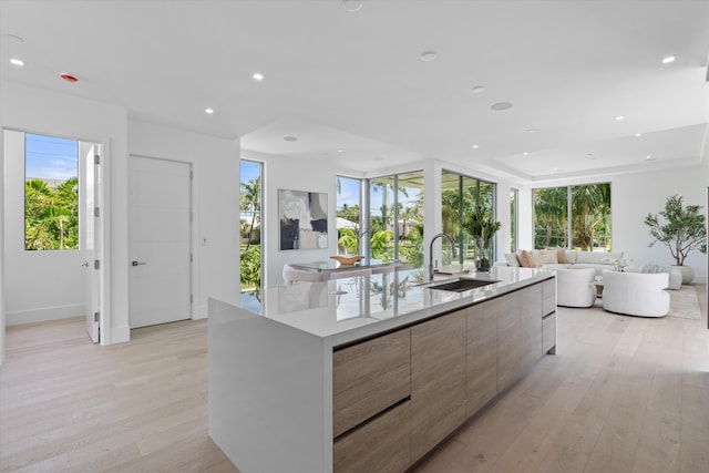 kitchen with a large island with sink, light hardwood / wood-style flooring, and sink