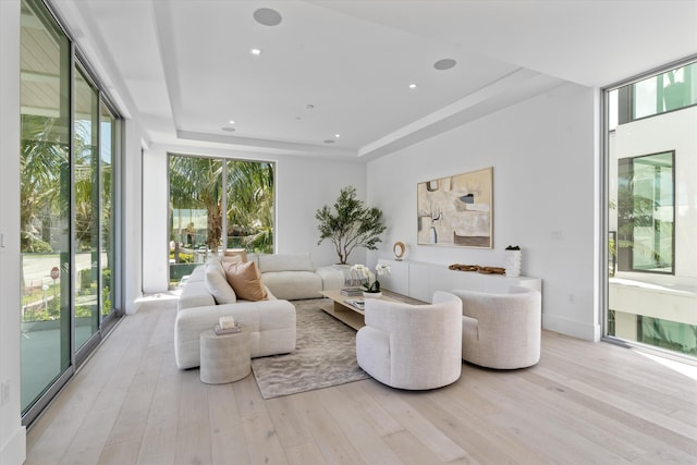 living room featuring a raised ceiling and a wealth of natural light