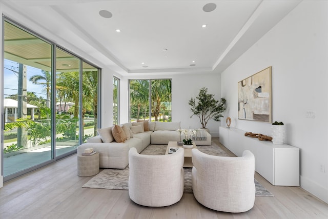 living room with a tray ceiling and light wood-type flooring