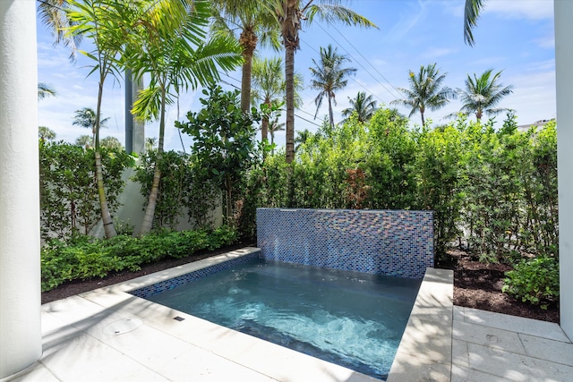 view of pool with a jacuzzi