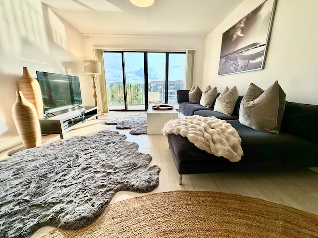 living room featuring hardwood / wood-style flooring