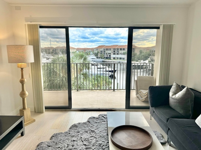 doorway to outside with a water view and light hardwood / wood-style flooring