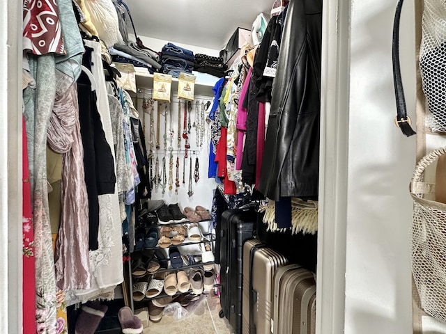 view of spacious closet