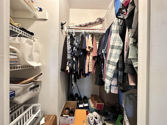 view of walk in closet