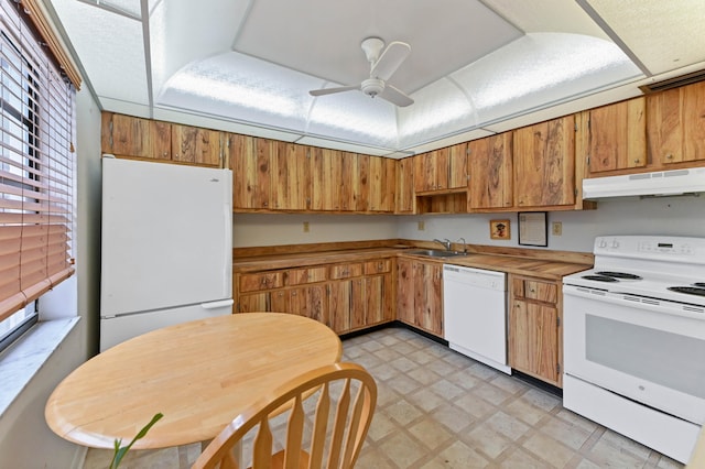 kitchen featuring a healthy amount of sunlight, ceiling fan, sink, and white appliances