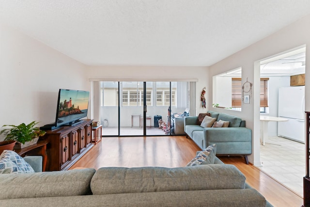 living room featuring a textured ceiling and light hardwood / wood-style floors