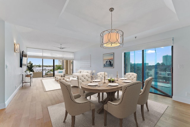 dining room with light hardwood / wood-style flooring and ceiling fan