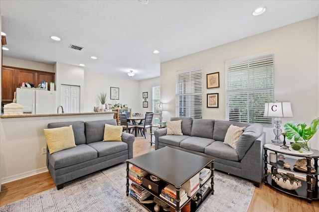 living room featuring light hardwood / wood-style flooring and a textured ceiling