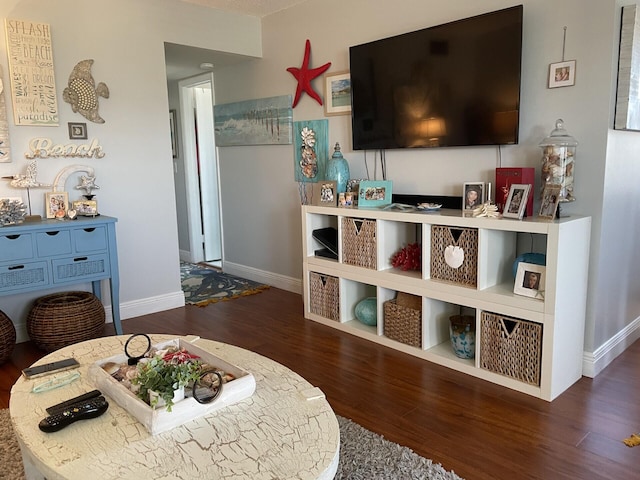 living room with dark wood-type flooring