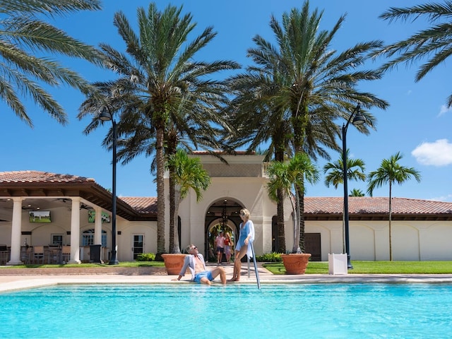 view of pool featuring a patio area and ceiling fan