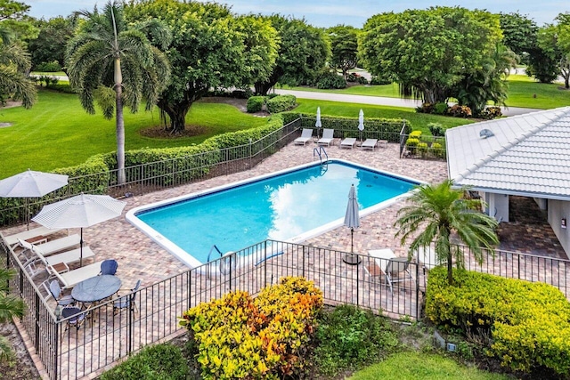 view of swimming pool with a patio area and a yard