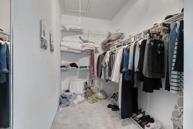 walk in closet featuring carpet floors