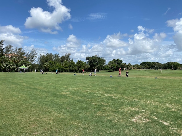 view of property's community with a yard