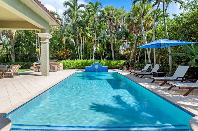 view of pool featuring a patio area and exterior bar