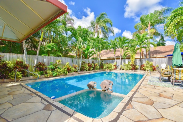 view of pool featuring a patio