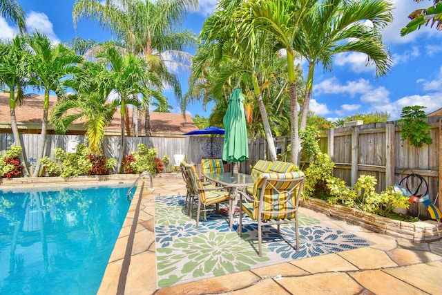 view of swimming pool with a patio area