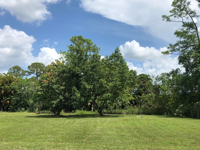 view of yard