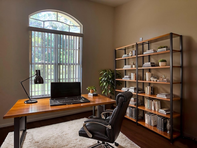 office space with dark hardwood / wood-style flooring