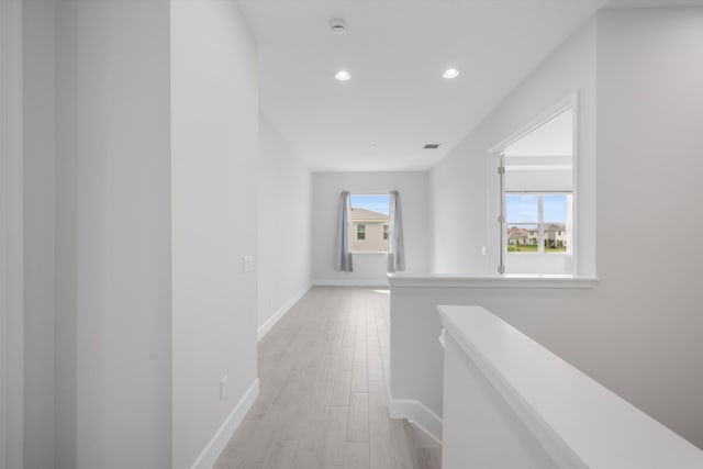 hall featuring light hardwood / wood-style flooring and plenty of natural light