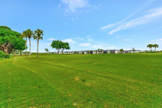 view of community with a lawn