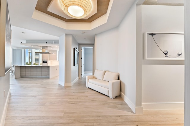 interior space featuring a tray ceiling and light hardwood / wood-style floors