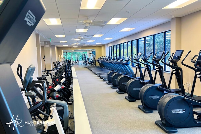 workout area featuring a paneled ceiling and ceiling fan