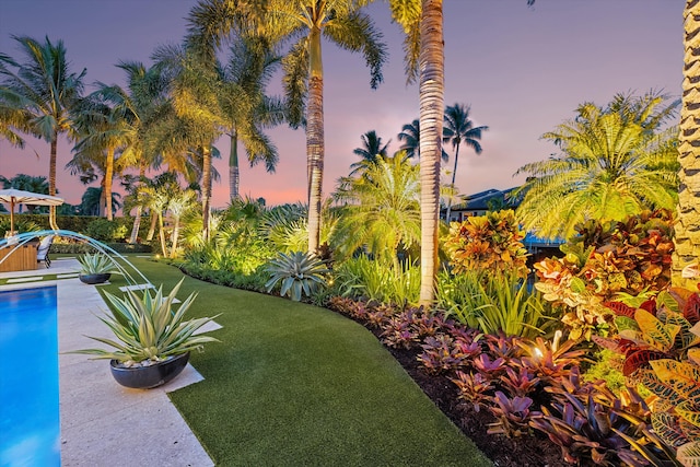 view of yard at dusk