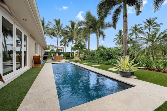 view of pool featuring a patio area and a lawn