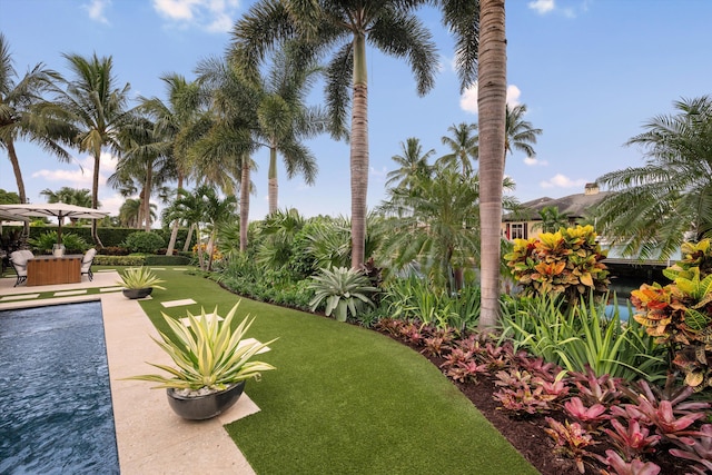 view of yard featuring a pool